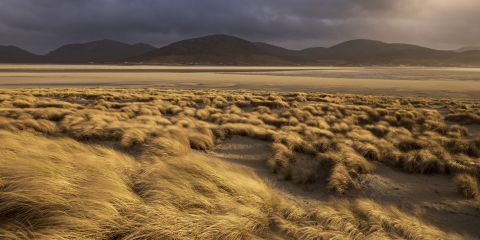 Luskentyre-7652-preview.jpg